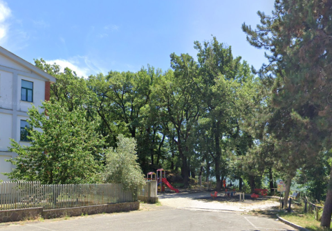 Boschetto